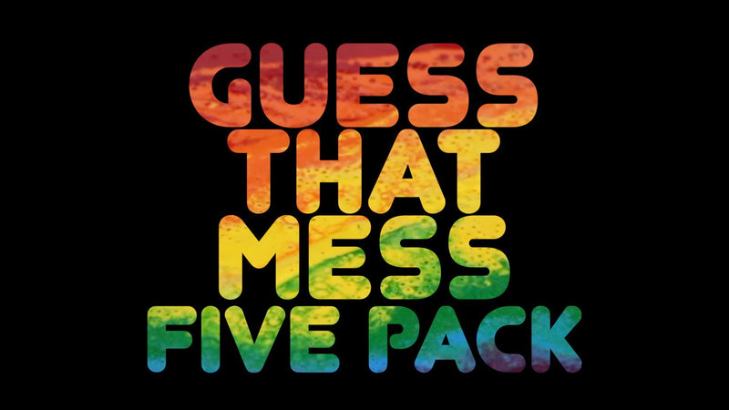 Guess That Mess Games 5-Pack