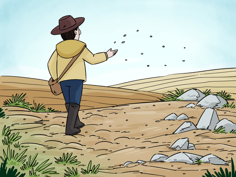 Load image into Gallery viewer, Parable Of The Sower Coloring Page