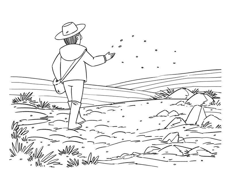 Load image into Gallery viewer, Parable Of The Sower Coloring Page