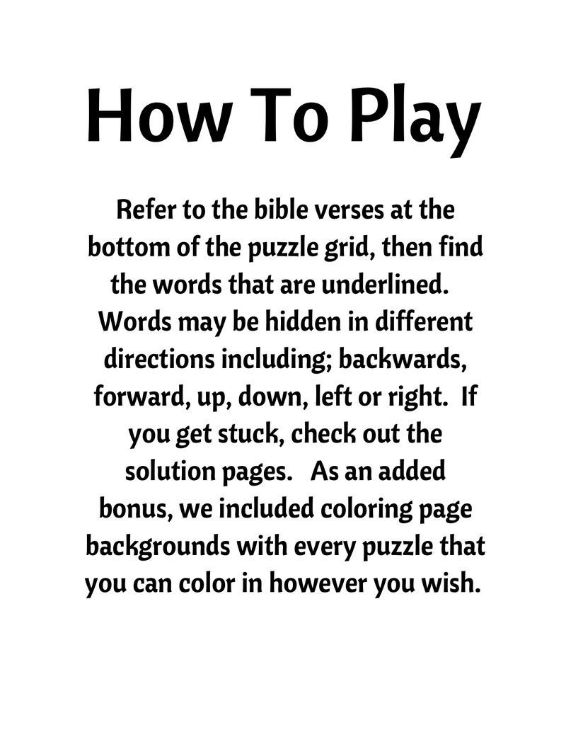 Load image into Gallery viewer, Christmas Bible Verse Word Search Puzzles