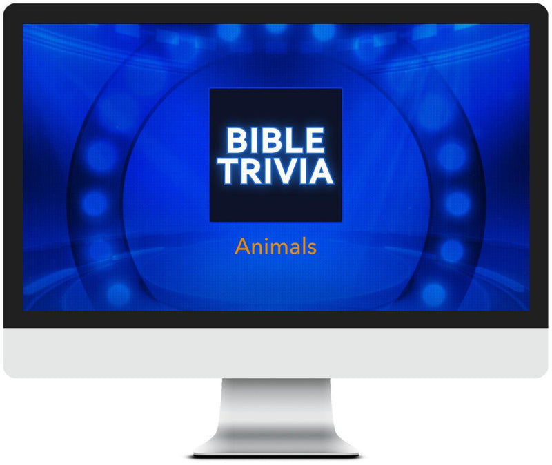 Load image into Gallery viewer, Bible Trivia Games Bundle - Children's Ministry Deals