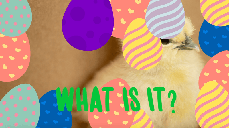 Load image into Gallery viewer, Easter Games 5-Pack - Children's Ministry Deals