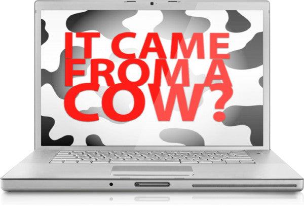 It Came From a Cow PowerPoint Game