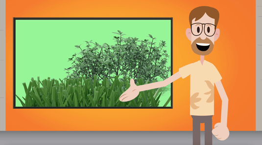 The Color Green Object Lesson Video - God's Creation - Children's Ministry Deals