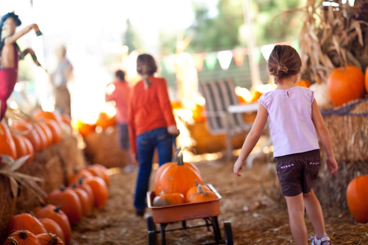 Fall Festival Ideas for Family-Friendly Fun at Your Church - Children's Ministry Deals