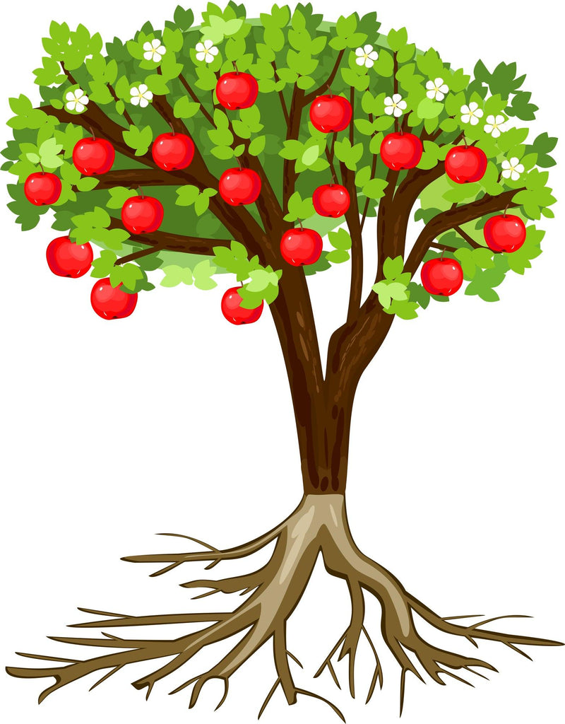 How to Increase Church Growth through Sunday School - Children's Ministry Deals