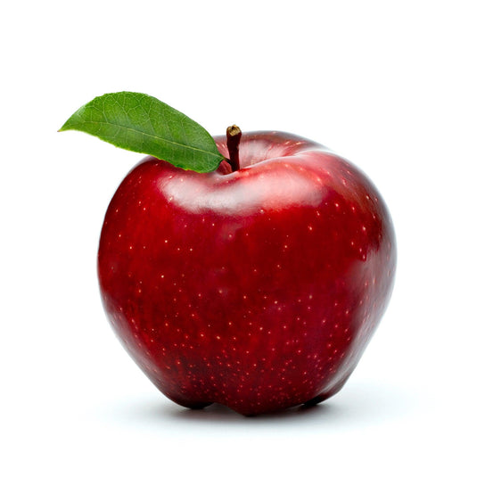 10 FREE Back To School Ideas for Children's Church - Children's Ministry Deals