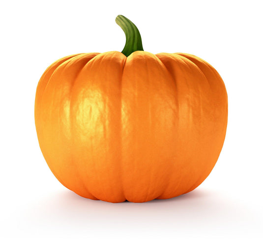 10 FREE Fall Children's Ministry Resources - Children's Ministry Deals