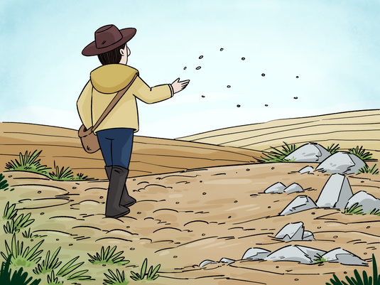 Parable Of The Sower Coloring Page
