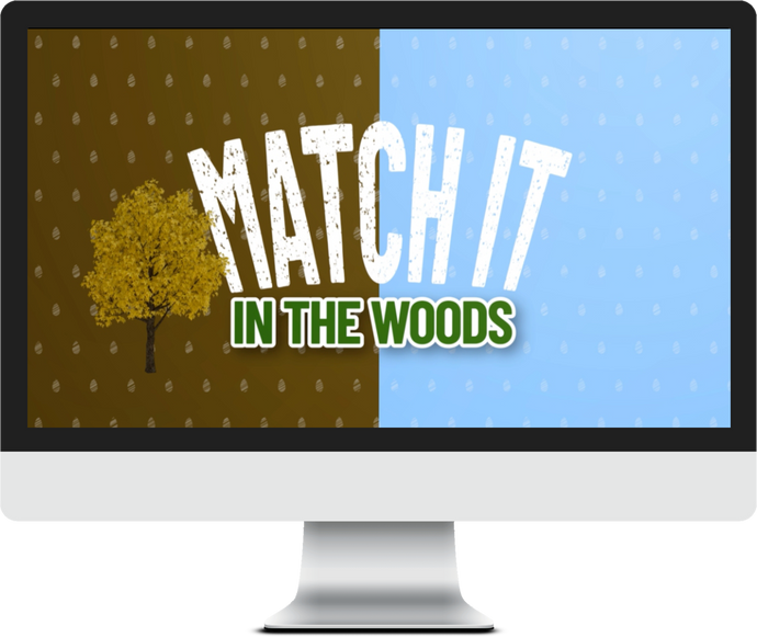 Match It! Into The Woods Game Video