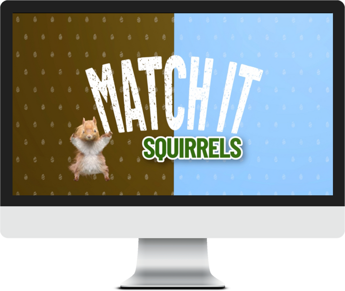 Match It! Squirrels Game Video