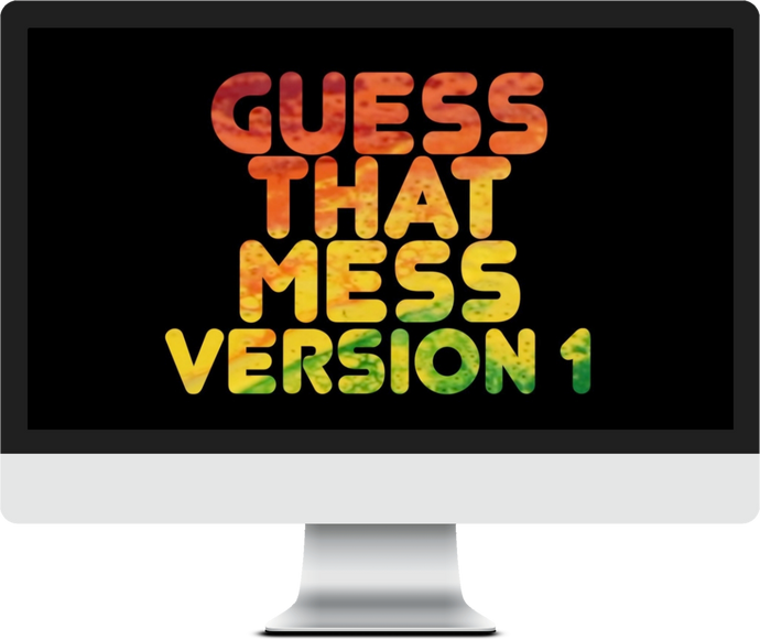 Guess That Mess #1 Game Video