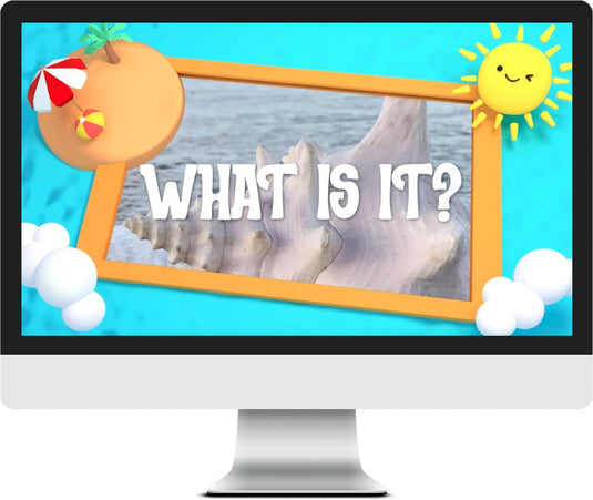 At The Beach Close-Ups Game Video - Children's Ministry Deals