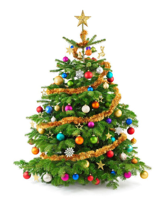 $97 for $775 Worth of Christmas Children's Ministry Curriculum - Christmas Tree Bundle - Children's Ministry Deals