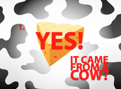 It Came From a Cow PowerPoint Game
