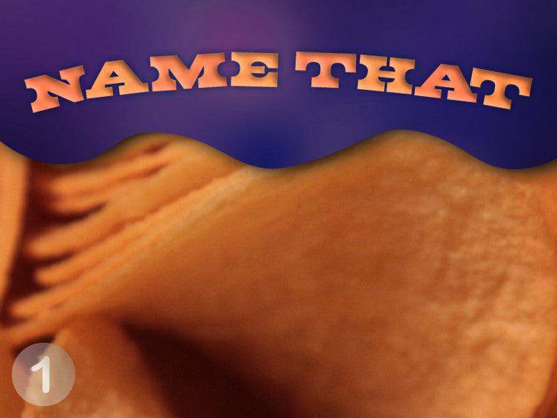 Load image into Gallery viewer, Name That Snack PowerPoint Game
