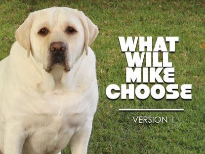 What Will Mike Choose? 