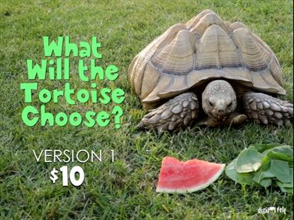 What Will the Tortoise Choose? 