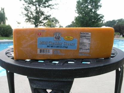Will It Float: Cheese Game Video for Kids - Children's Ministry Deals