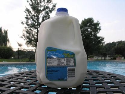 Will It Float: Milk Game Video for Kids Church - Children's Ministry Deals